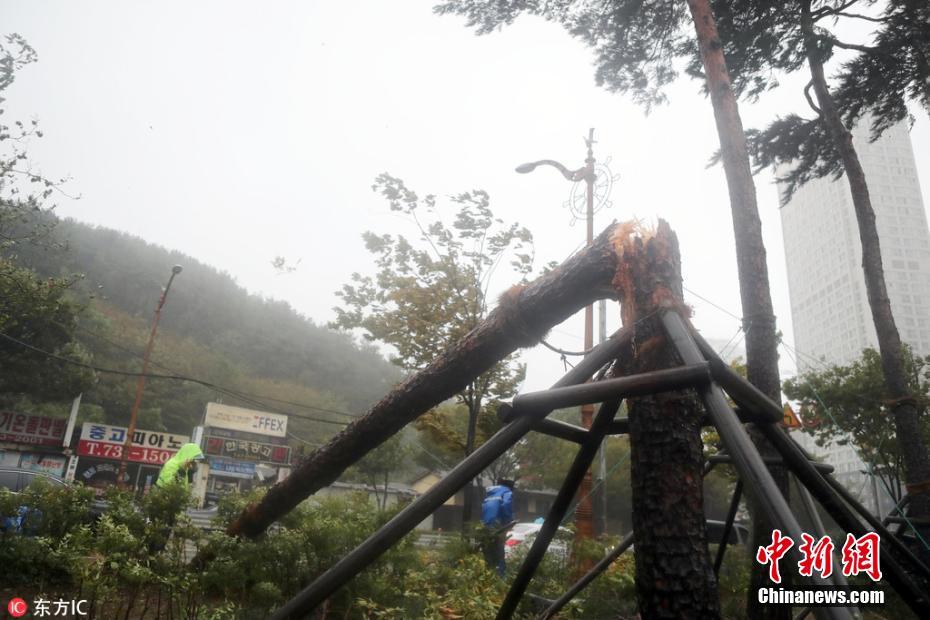电影院三级片黄片