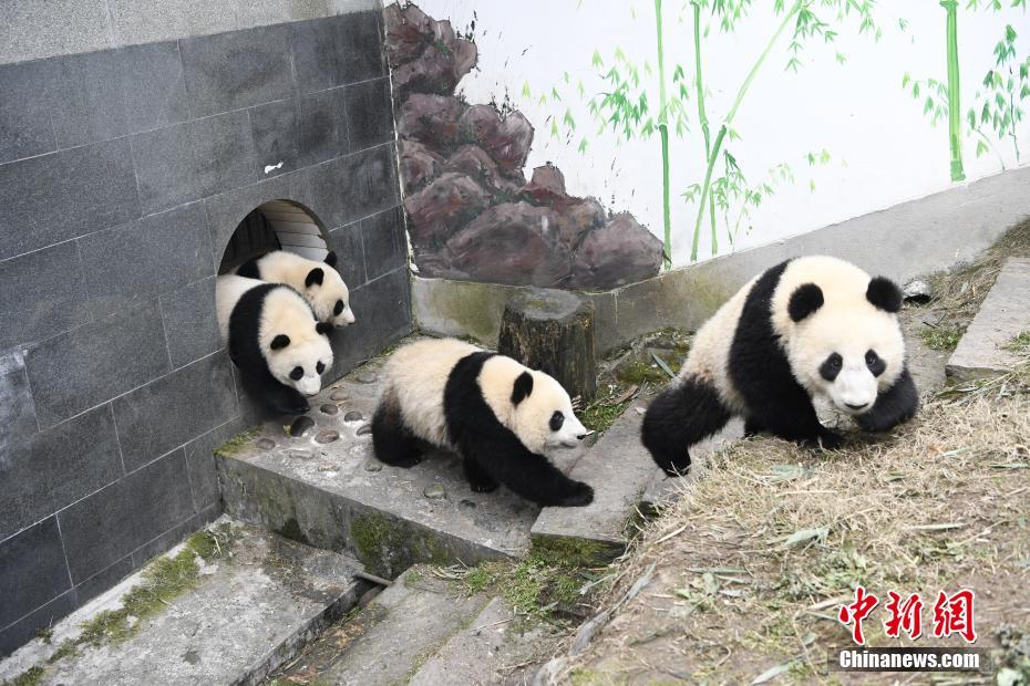 學生妹自拍
