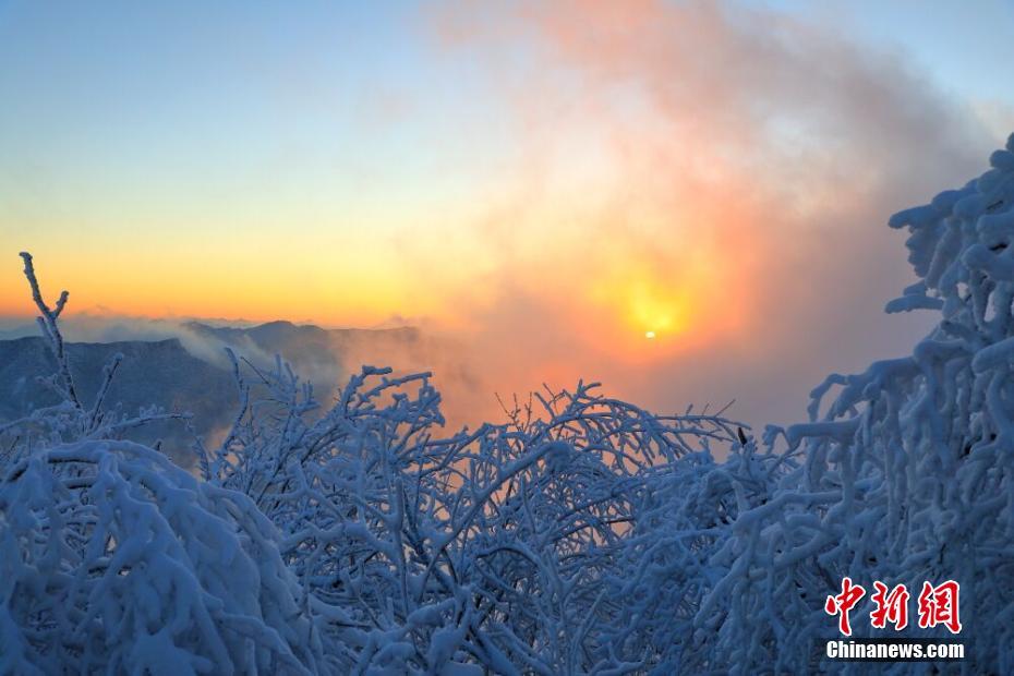 麦克米兰：咱们下半场的体现太差了