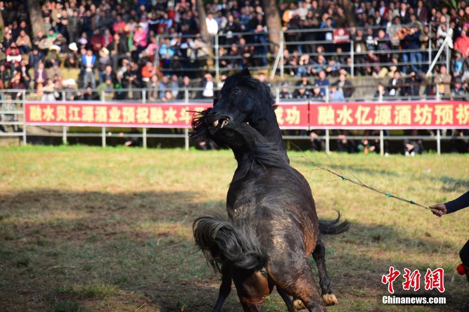 男模脱裤子全身精光露J