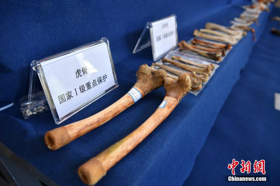 孕妇三级孕交片