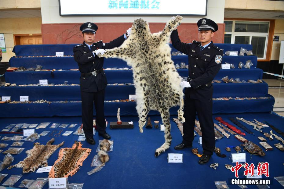 老熟女视频