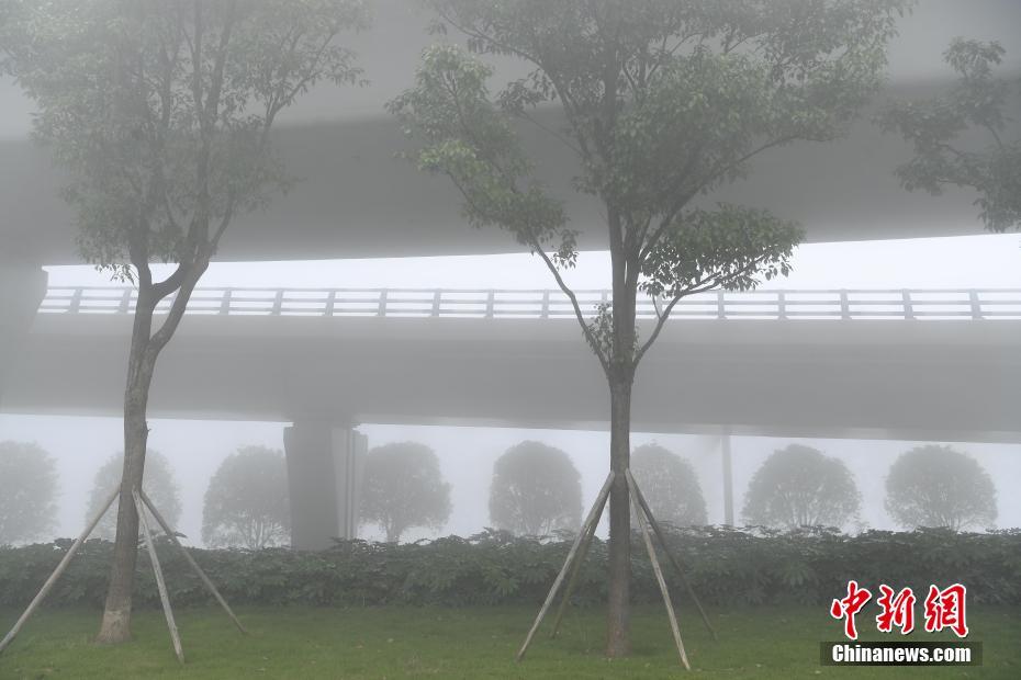 一区二区免费视频
