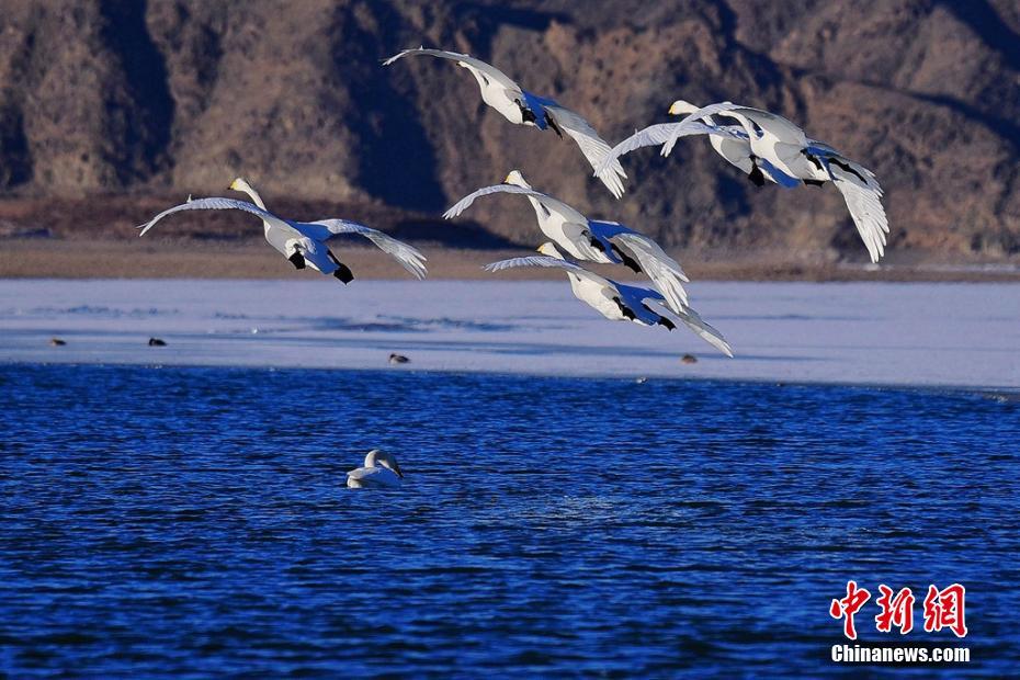 www.huangse