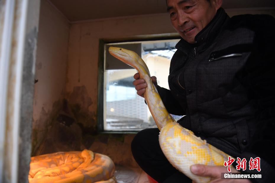 魅魔妈妈与异世界动漫制作决定