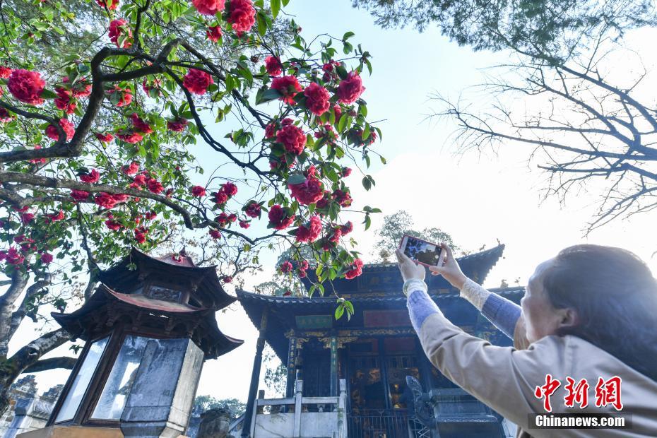 八重神子裸体 自慰喷水