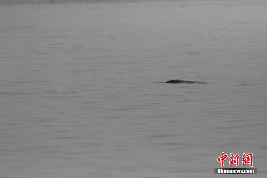 湿吻