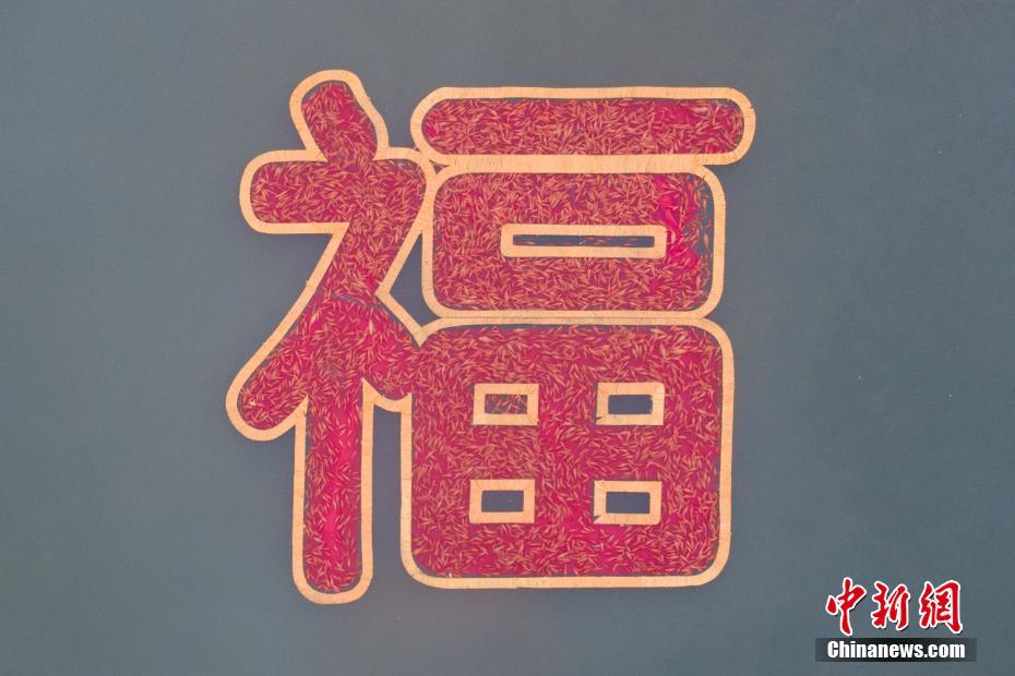 我想看亚洲胖女人操逼逼