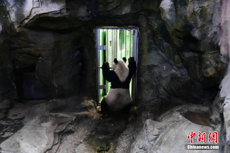 【凤】【凰】【彩】【票】【平】【台】【官】【网】