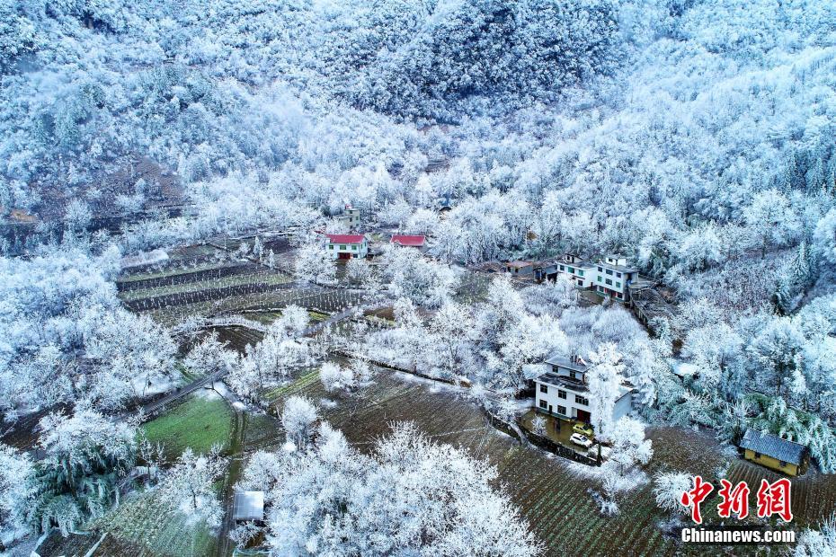 ova不该瞒着妻子去参加漫展全集