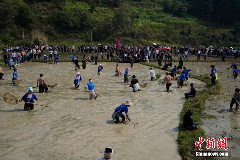 丰满大白屁股推油按摩