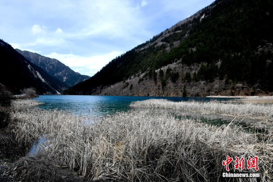 佐佐木明希被躁120分钟游戏特色