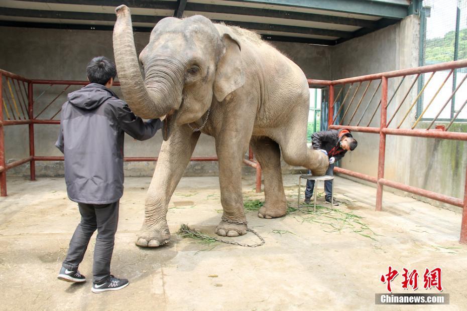 市售20款抢手785G大盘点