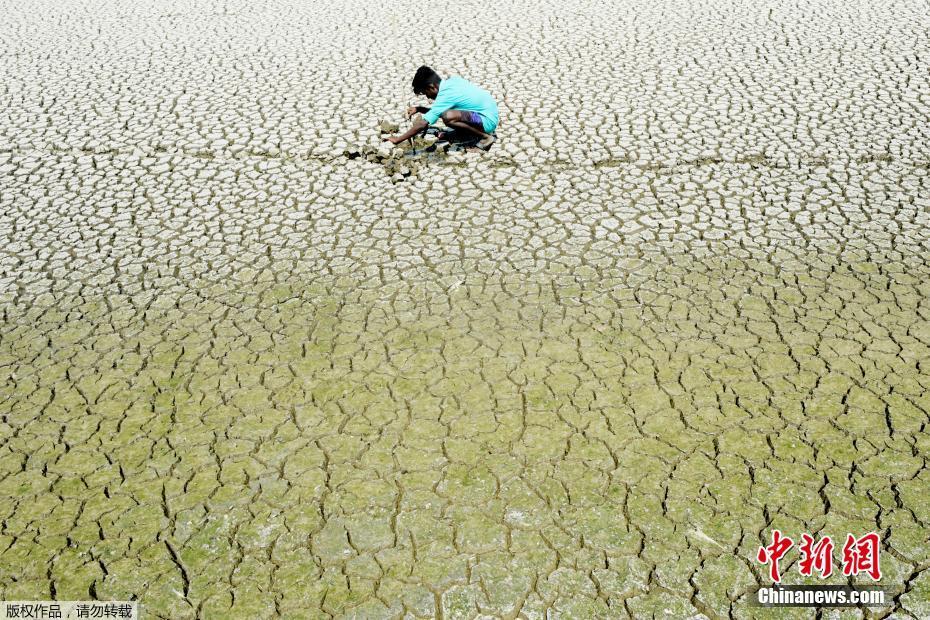 只有冬天才需要给车涂防冻液吗 蚂蚁庄园12月25日今日答案[多图]