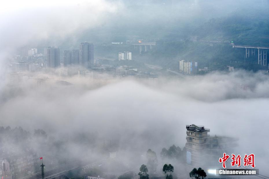 欧美高清黄色一级片