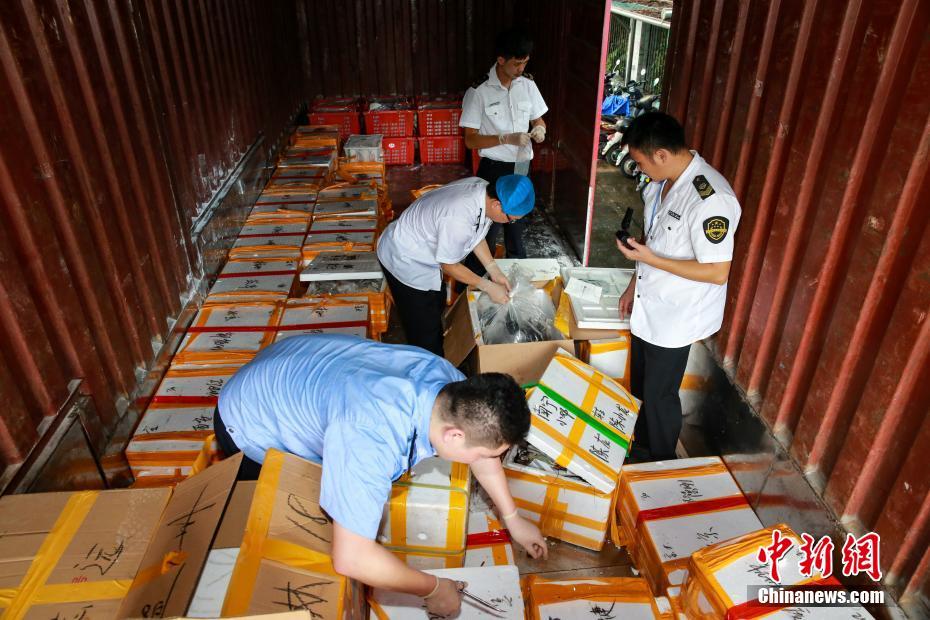 十八禁 纲手被爽到爆衣