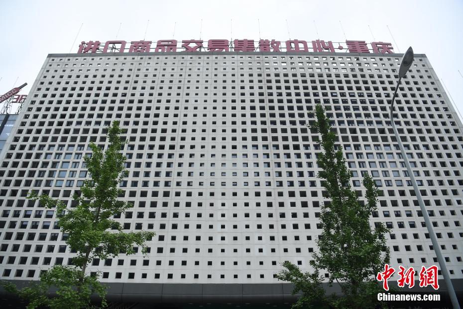 巴西人妖色情