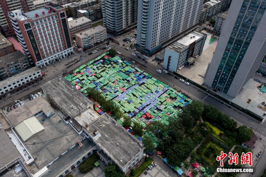 免费 A 片 直播 网