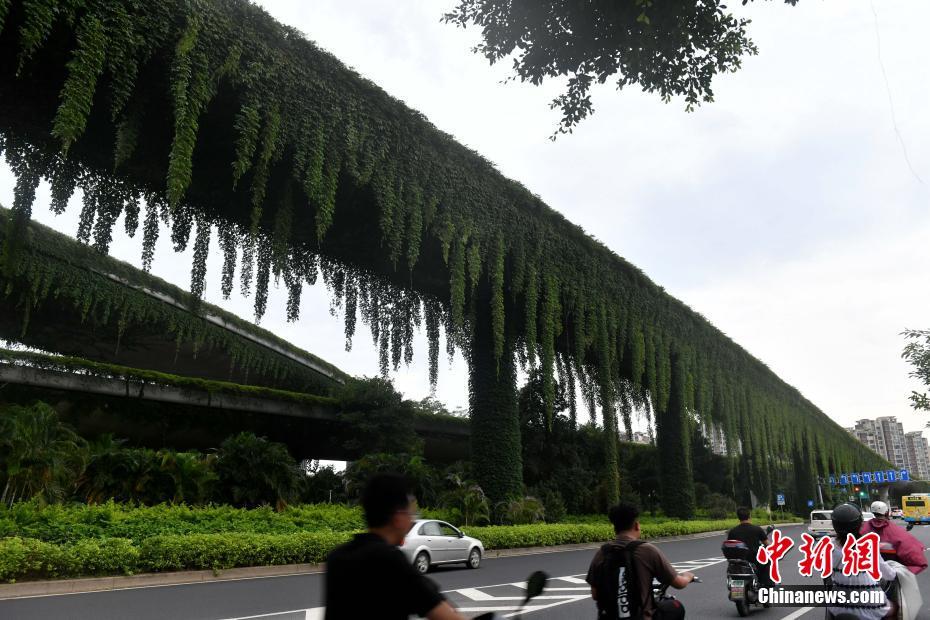 欧美极度另类潮喷