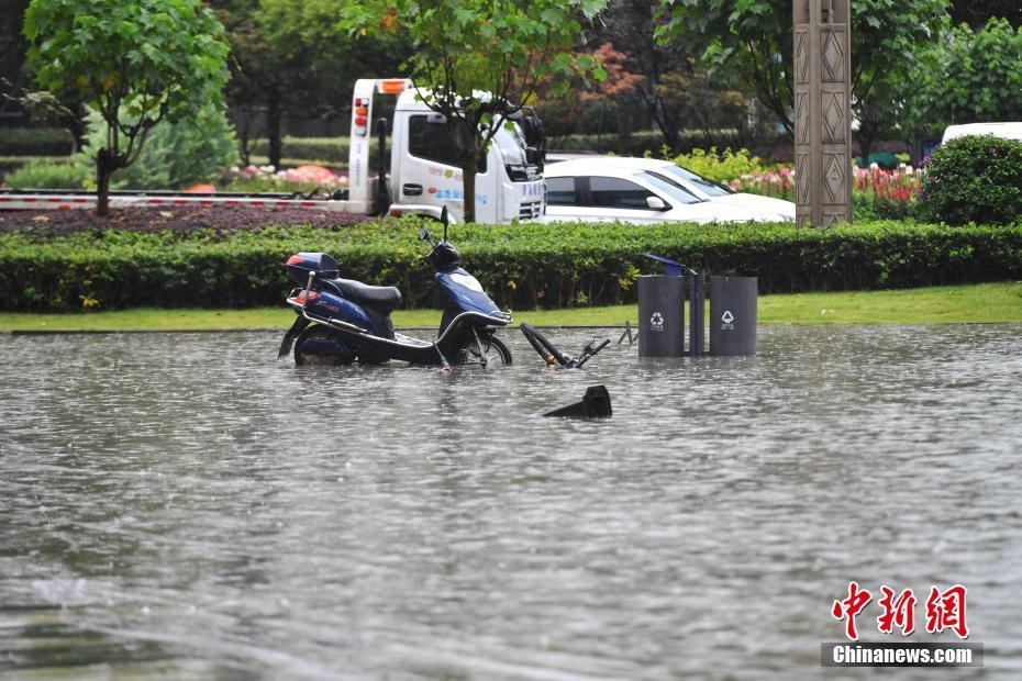 中国浓毛老太BBWW毛绒绒