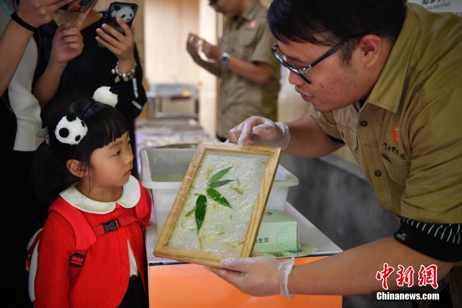 夫妻性生活一级大黄片