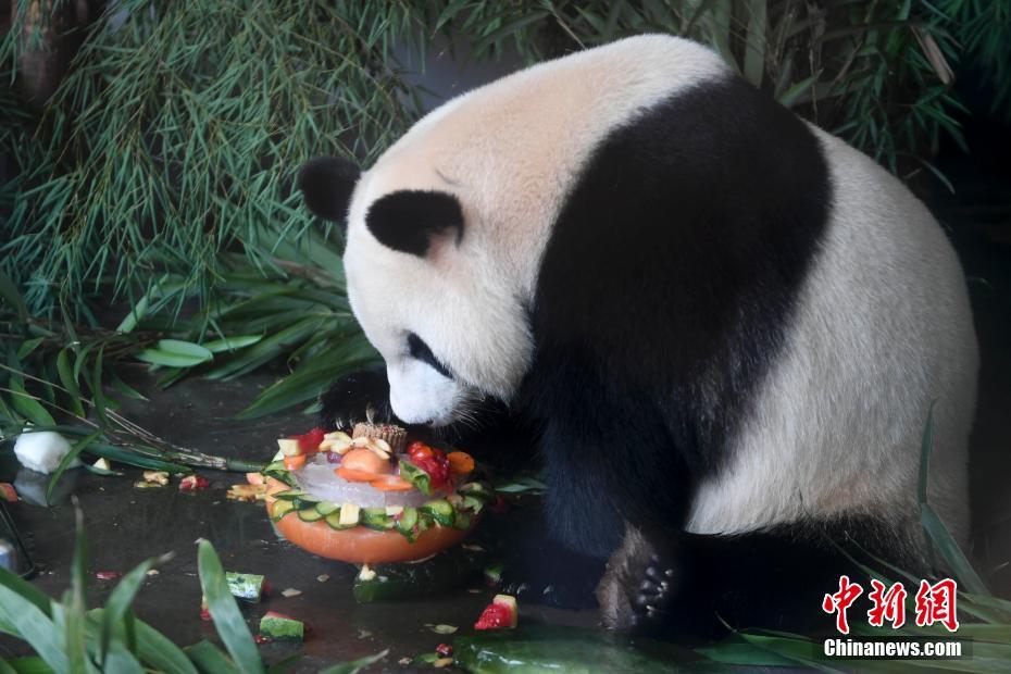 无码色情动漫