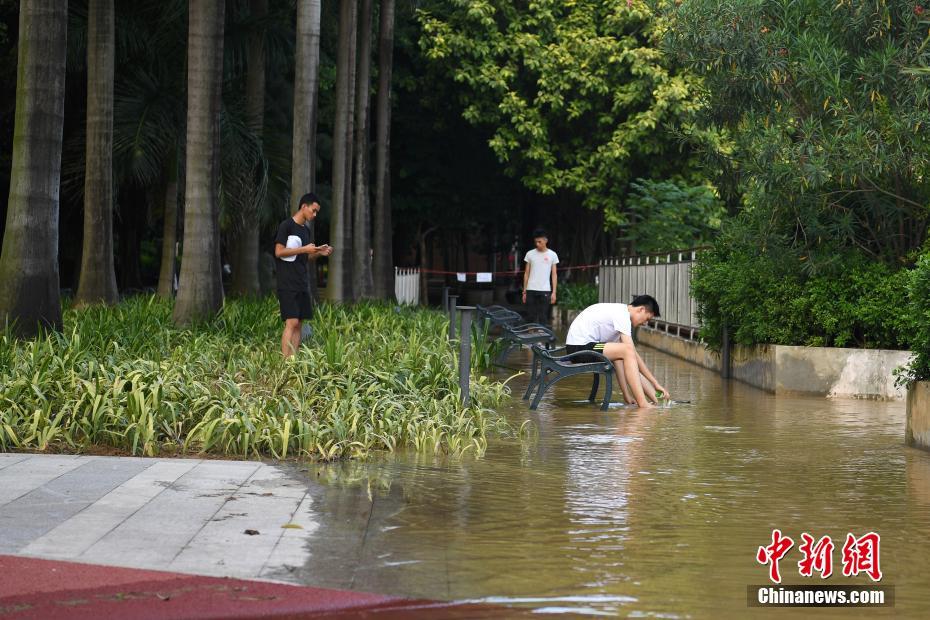 豆美国性爱视频