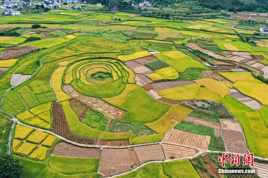 病毒