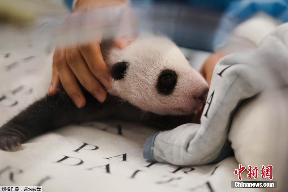 偷拍洗澡Xxxxx