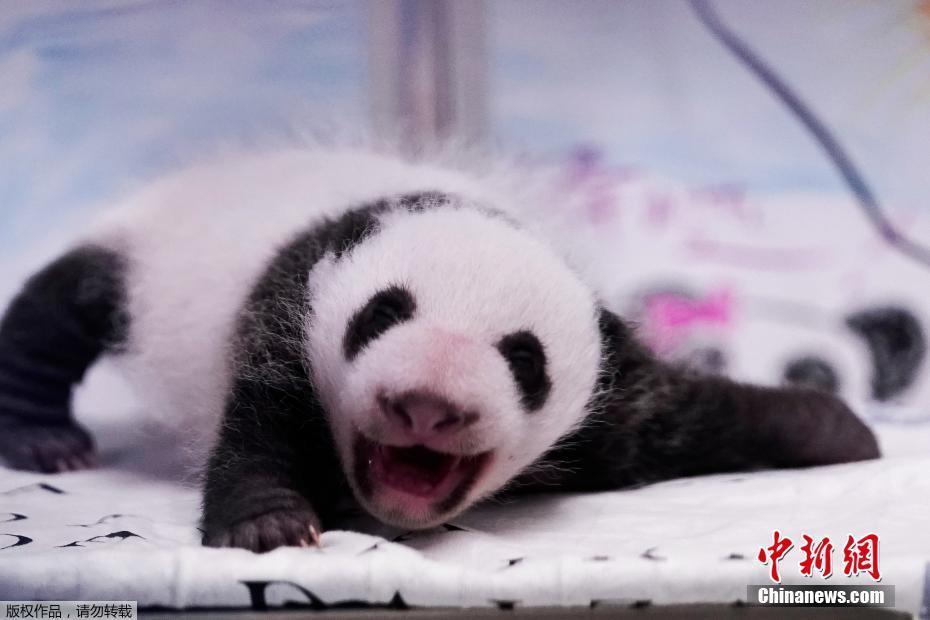猛男自慰网站Chinese