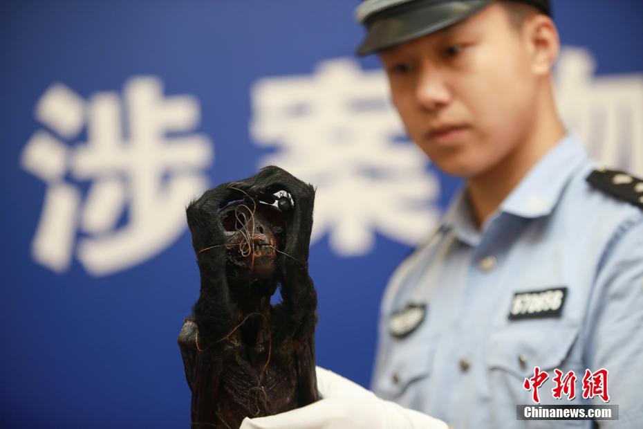 校花被 娇喘出奶动漫