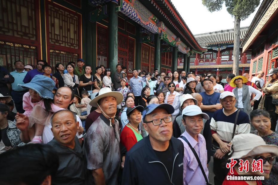 苍井空和波多野结衣在中国的成就