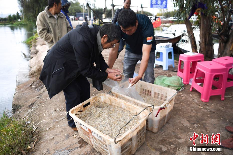 美女扒开屁股让男人捅