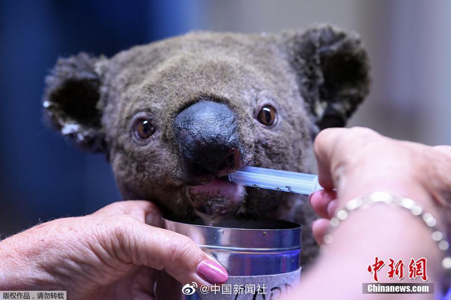 看一下免费的黄色三级片夫妻生活片