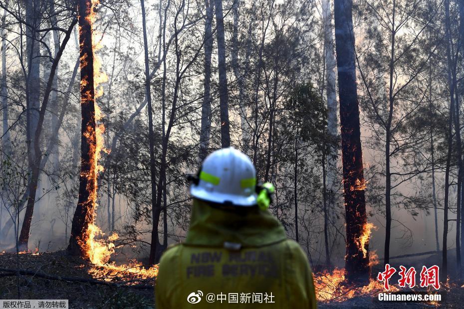 淫乱家庭曰本