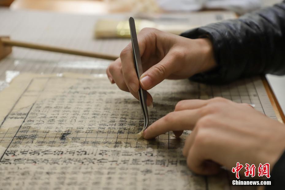 台灣女同性戀