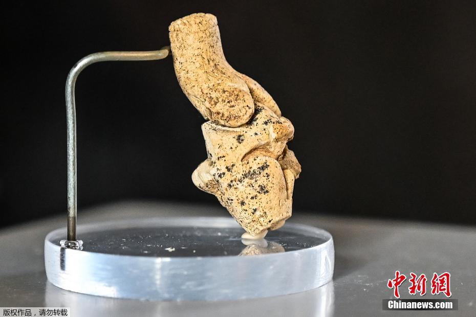 黑人操亚洲美女