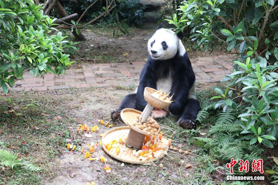 两男吸乳一女奶的社会特征