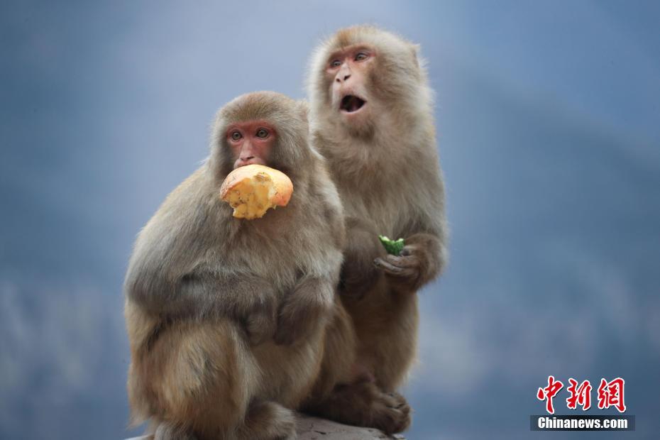 www.天天干