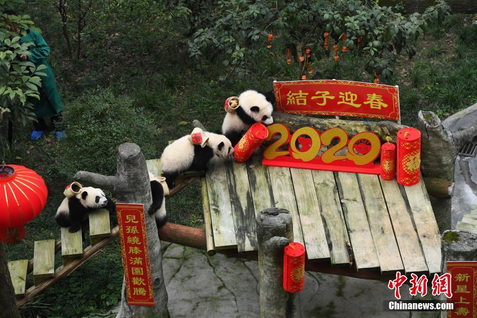这里只有精品久久