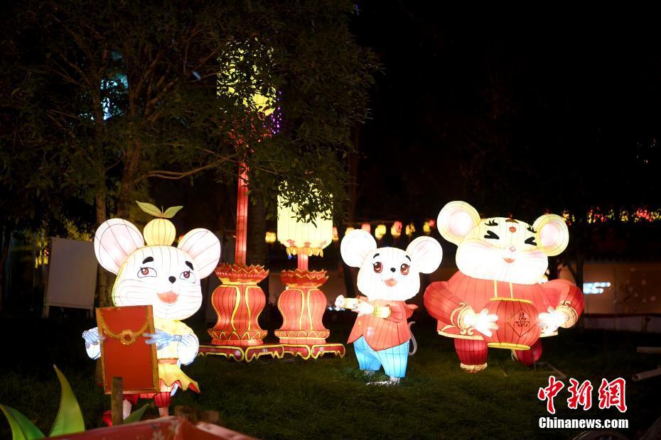 婷婷精品