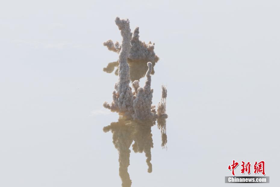 无码 色情 网