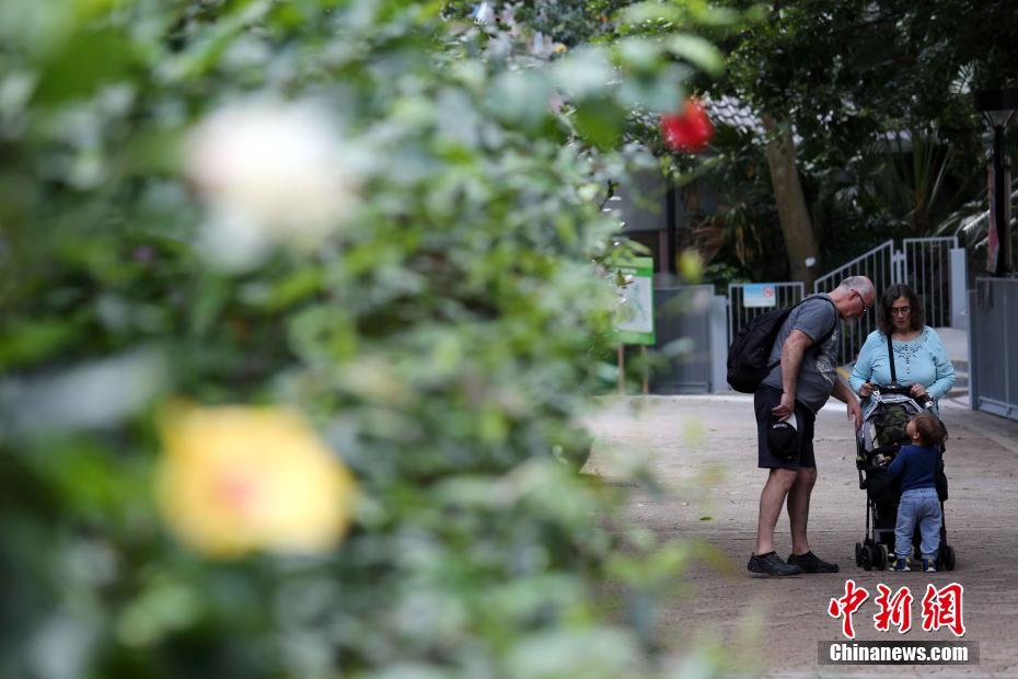 麗子卡通
