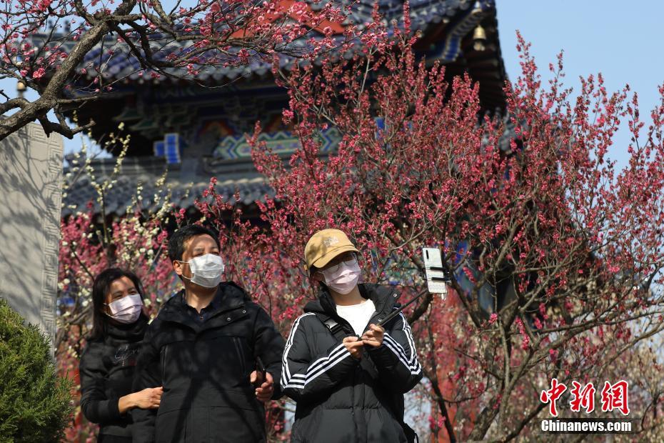 原 神 黄色 网站