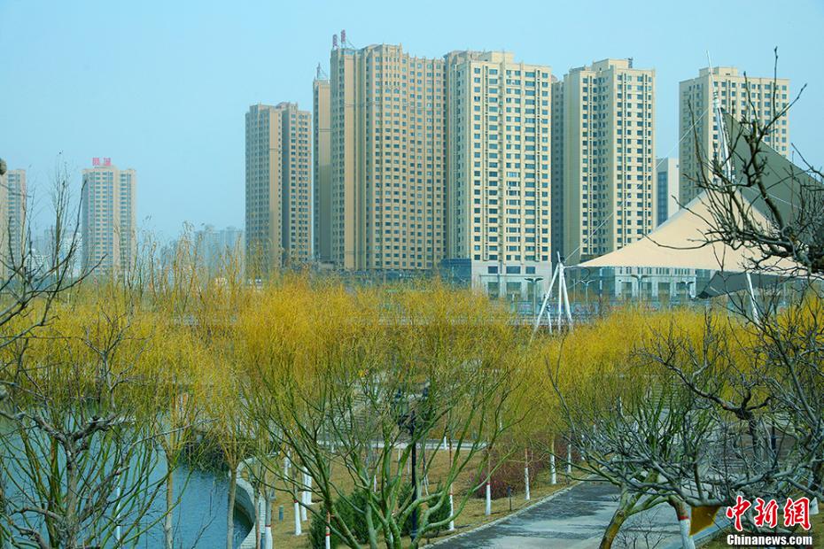 美女后入式动态图