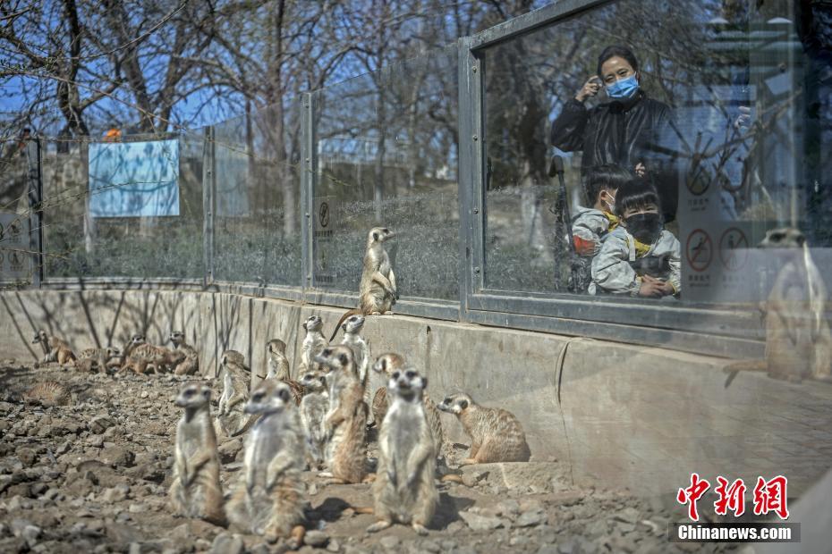 免费性爱视频软件