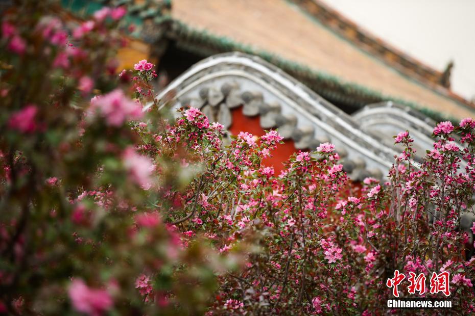 抖 音 网 红 裸体
