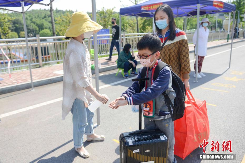 免费 成人 直播 网