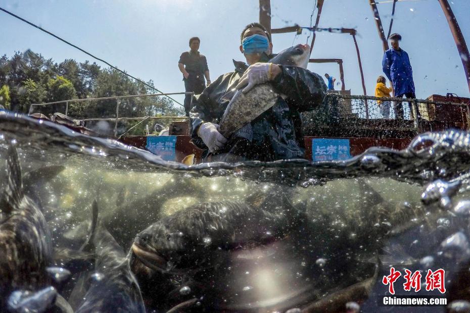 黄色网站在