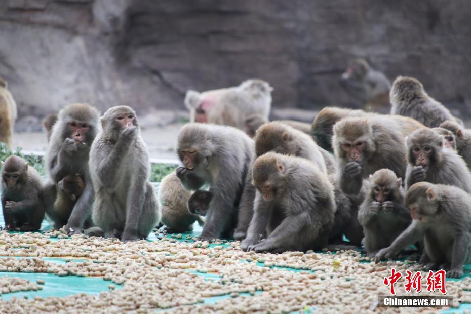 留学 生 性爱